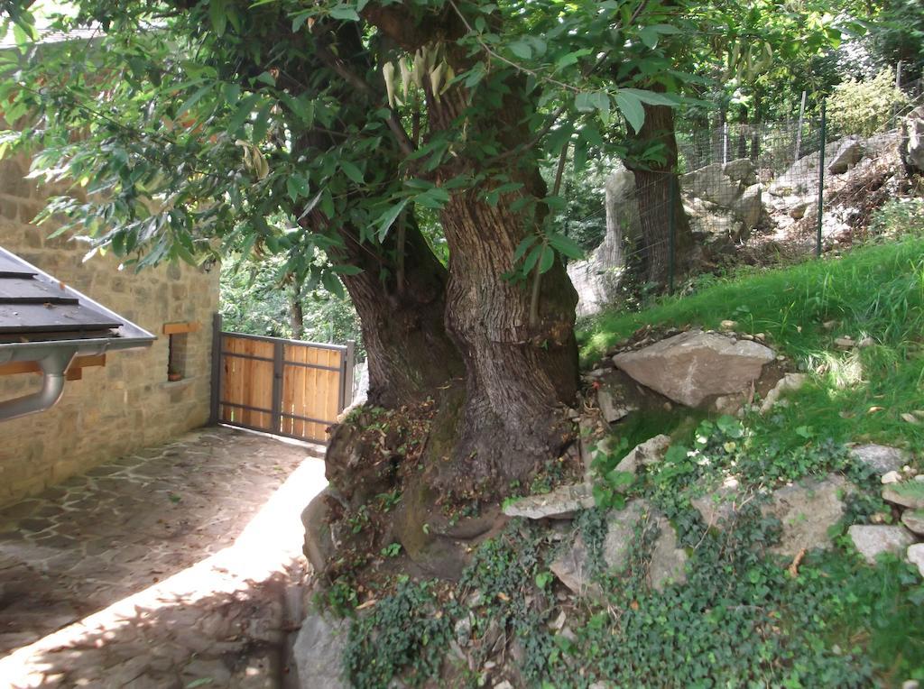 Agriturismo Ai Ronchi Sorico Extérieur photo